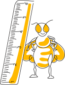 Bee And Ruler